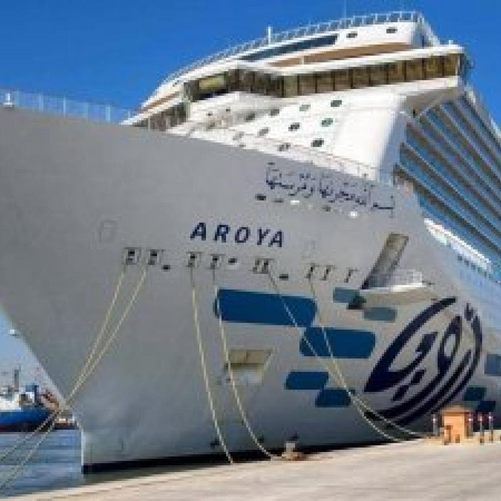 الهيئة العامة لميناء الإسكندرية تستقبل السفينة السياحية "Aroya" مع تزايد حركة صعود الركاب من الميناء