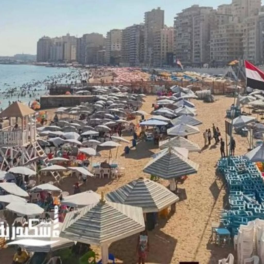 إسكندرية في عز الصيف: أجواء ساحرة ونسب إشغال معتدلة وشواطئ آمنة للرواد