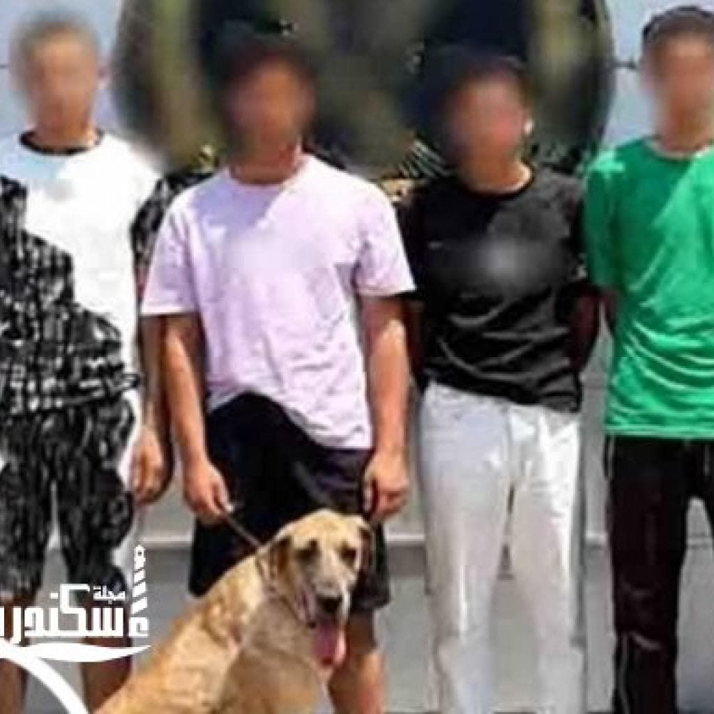 ضبط 4 أشخاص وُبحوزتهم كلب اعتدوا على المارة وأثاروا الذعر في الدخيلة بالإسكندرية