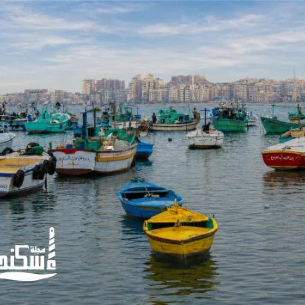 بحرى بعيون اسكندرية عدسة حسين أبايزيد