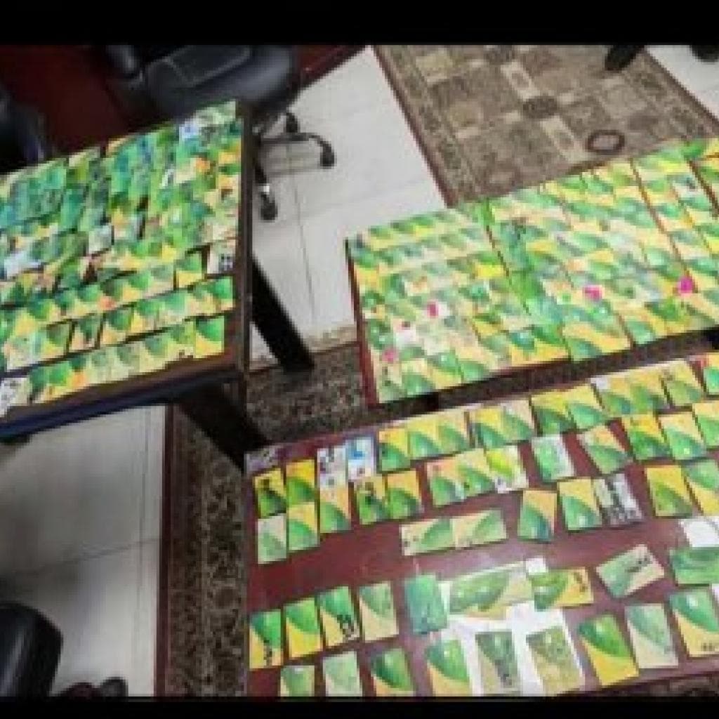 ضبط 396 بطاقة تموينية ودقيق مدعم في حملة فجرية على المخابز بالإسكندرية